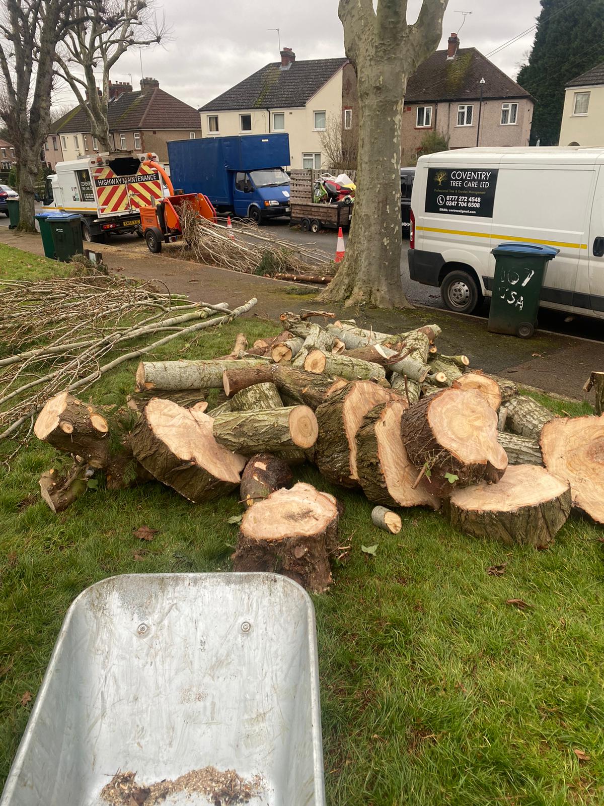 Tree Surgeon Warwick