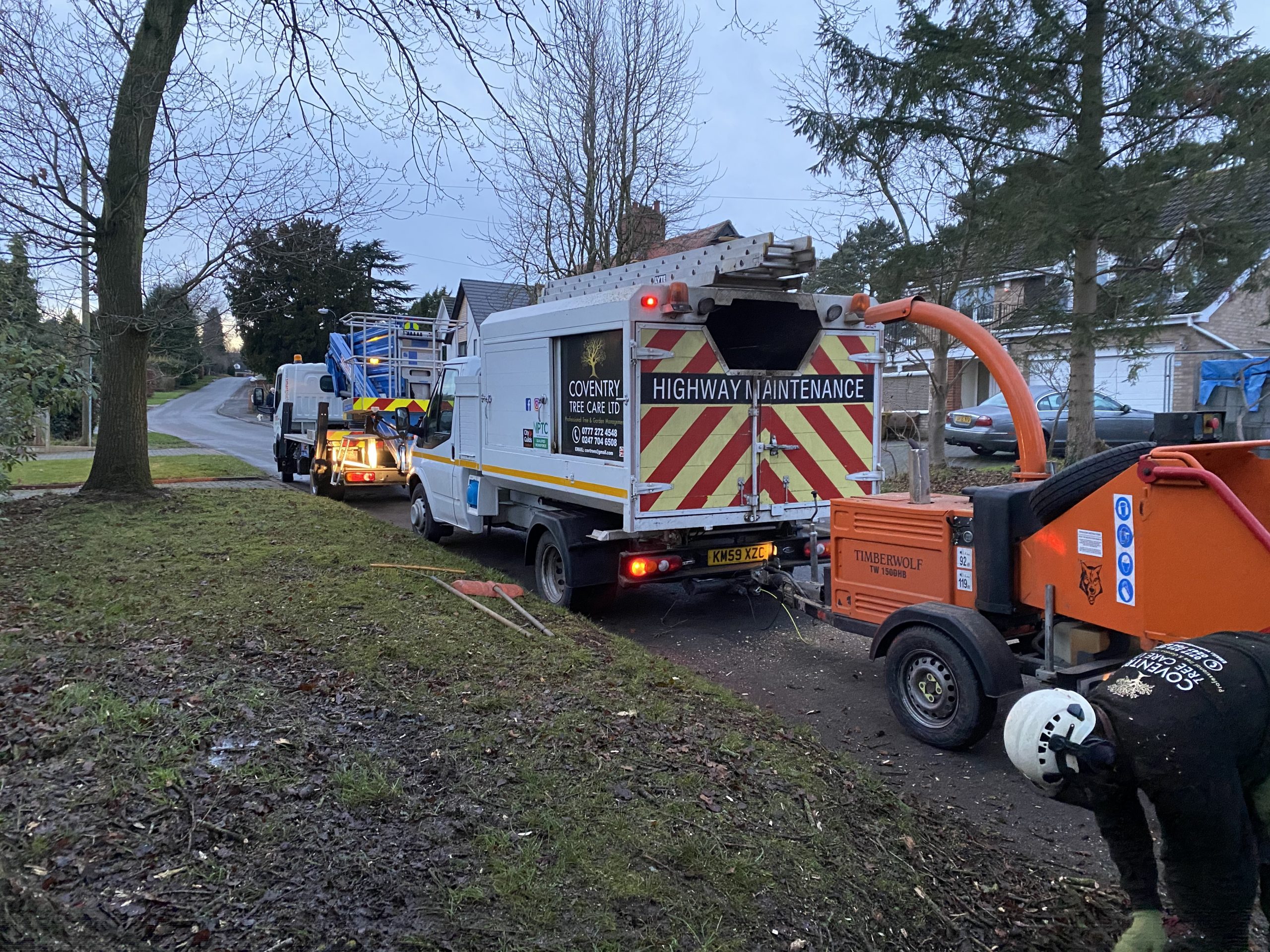 Tree Surgeon Warwick